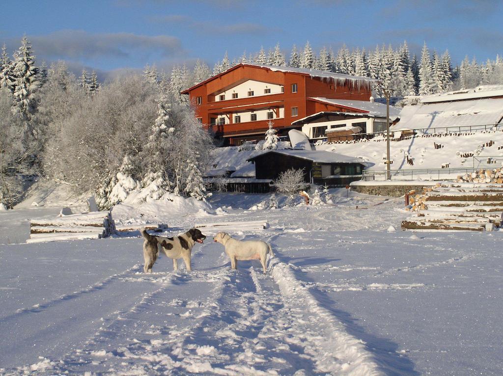 Pension H Jáchymov Exterior foto